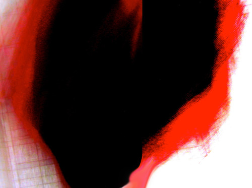 black-red-005 by fernanda garrido