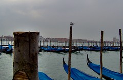 Venezia.Venice. Venise. Venedig