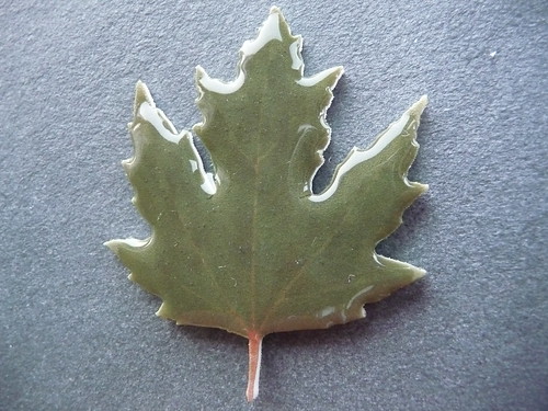 Handmade Plastic Leaf Brooch