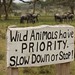 Wild animals have priority