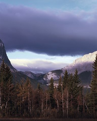 2012 Banff