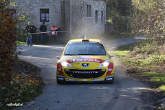 Rallye du Condroz 2011
