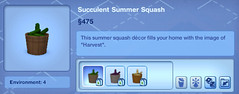 Succulent Summer Squash