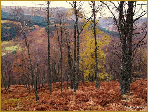 Glen Lyon Late Autumn Colours