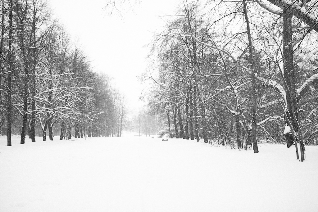Зимняя фотопрогулка