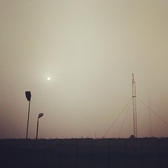 Sun in the morning fog