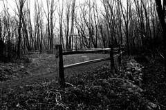 Trail fence