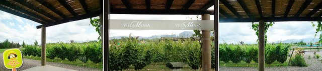 villa mansa wine hotel, mendoza