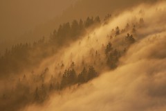 Dunst und Nebel/Haze and Fog