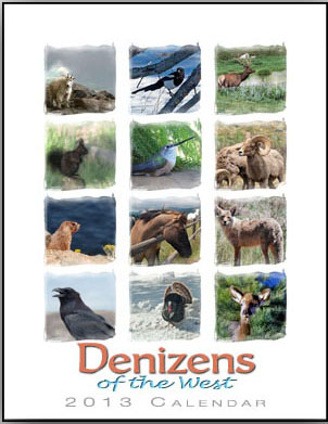 Denizens of the West Colorado Animal Calendar