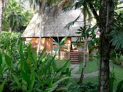 Belize Vol 1 - Mopan River Resort and vicinity