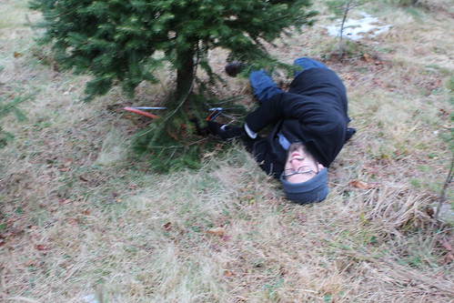 Nate Struggling with Christmas Tree