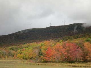Turbines at Fall 8