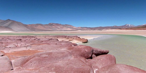 Le désert d'Atacama: Laguna Piedras Rojas