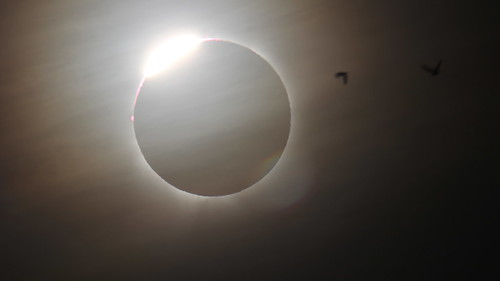 Totality Sequence