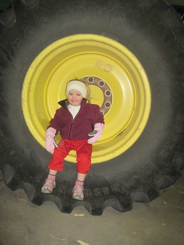 Baby in a Wheel
