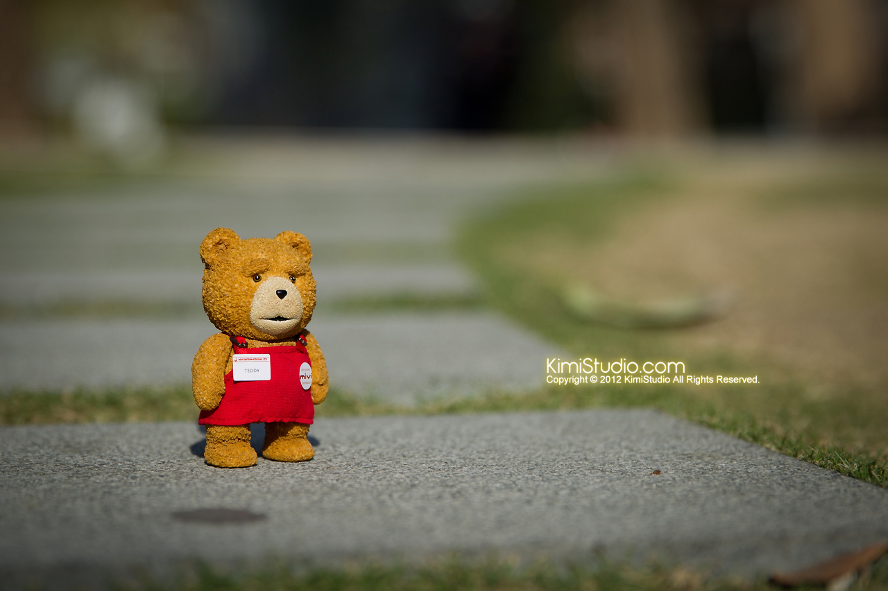 2012.11.06 Teddy-002