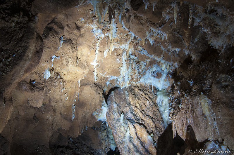 Peștera cu Cristale / Cristal Cave
