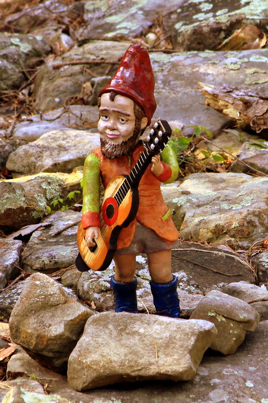 Rock City's Gnome Valley #1: Musician
