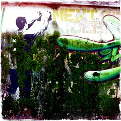 Graffiti & Street Art