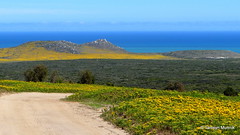 Beautiful scenery of the West Coast National Park