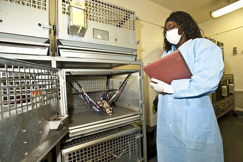 Veterinary medical officer Gloria McFadden conducts an inspection at a research facility. 