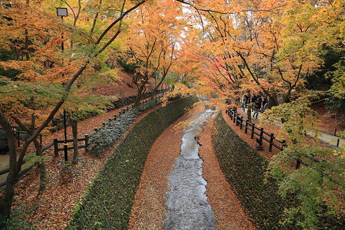 Autumn KITANO-TENMANGU 北野天満宮