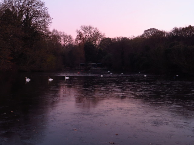 The Frozen Mixed Bathing Pond at Dawn