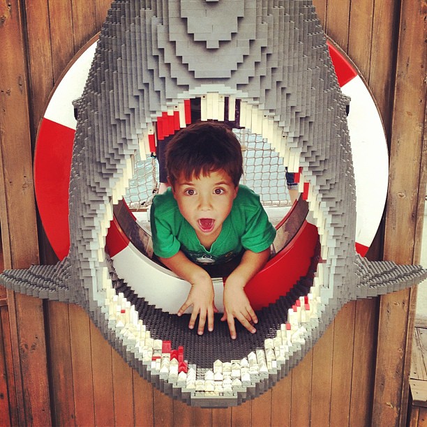 I think Eli liked Legoland.
