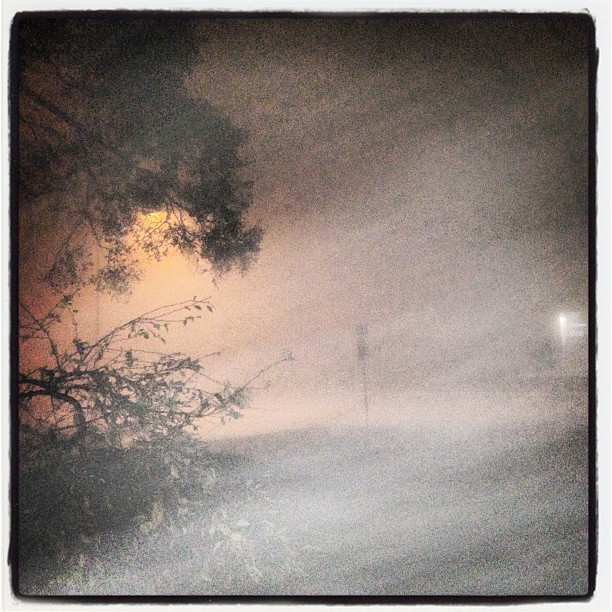 #detroit #fog