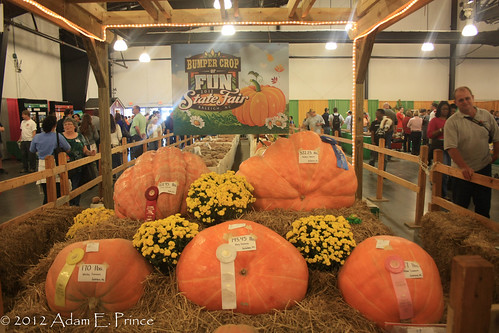 Plenty of Pumpkins!