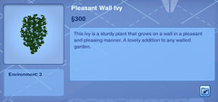 Pleasant Wall Ivy