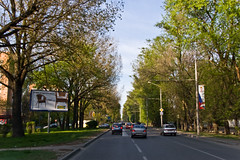 Rostov on Don - Avenue