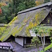Traditional house at Mt. Mitake
