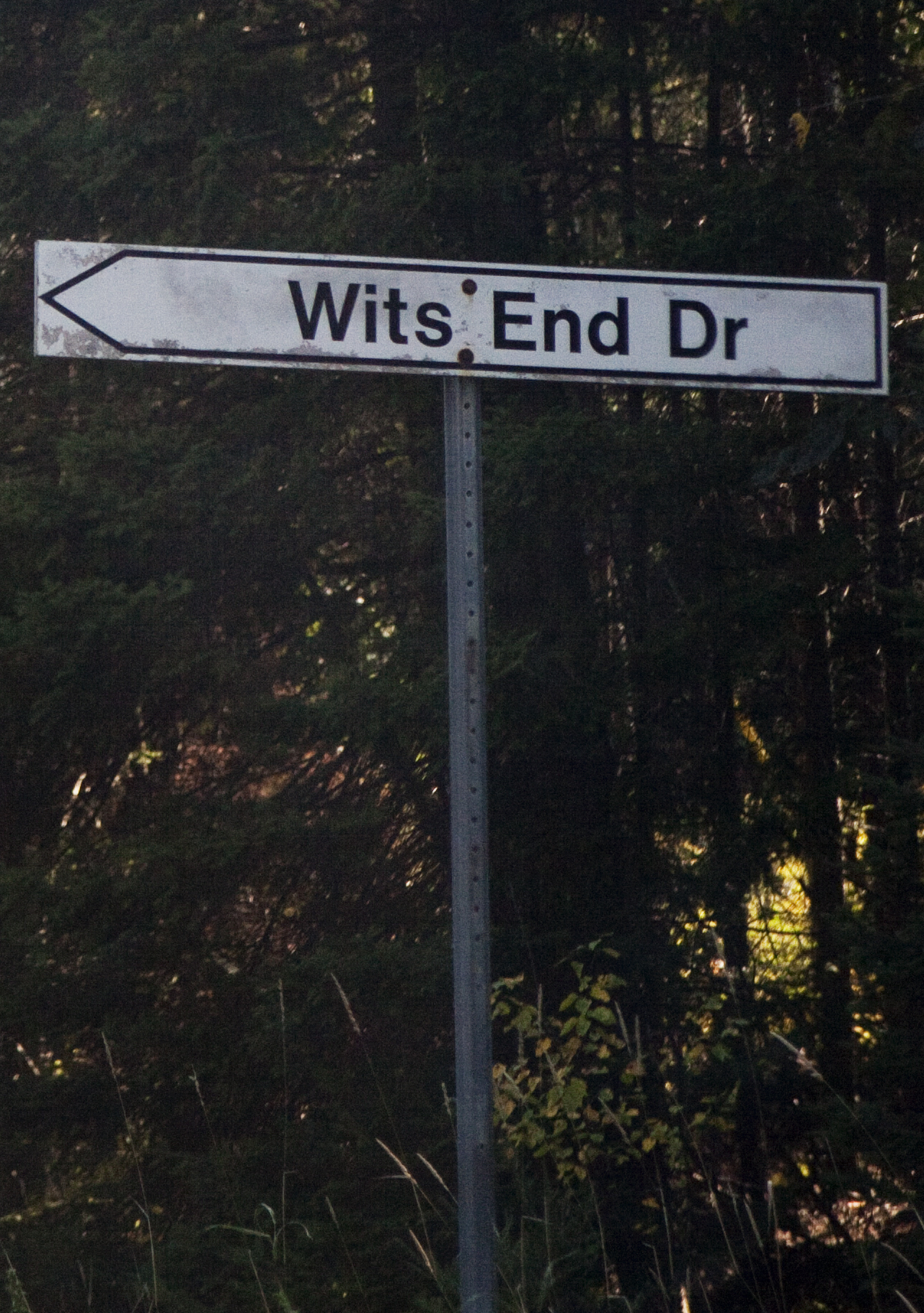 Wits end drive