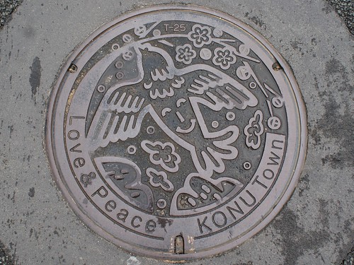 Konu town Hiroshima pref, manhole cover （広島県甲奴町のマンホール）