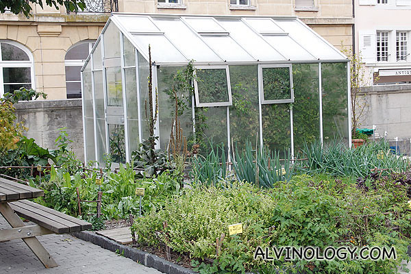 There is a small garden in front of the Alimentarium with real crops