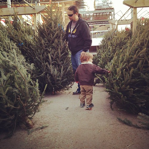 Picking out a Tree
