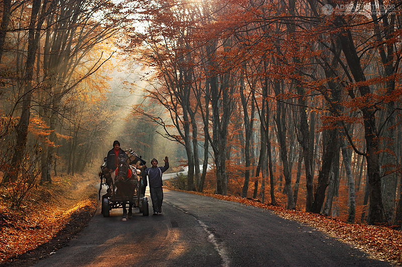 autumn_colors_in_apuseni_mountains_30_by_fotolympus-d4jka8j (1)