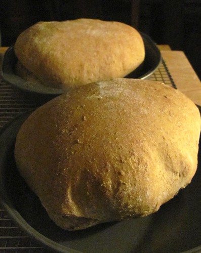 Breadmaker Caraway Rye Bread Recipe