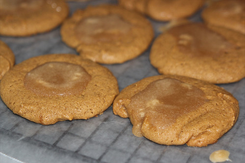 Ginger Cookies (3) (1)