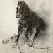 馬11.水彩、木炭、紙本.62x48cm.2012