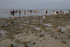 20121014 - Oystering