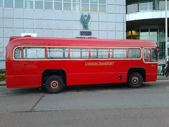RF Buses