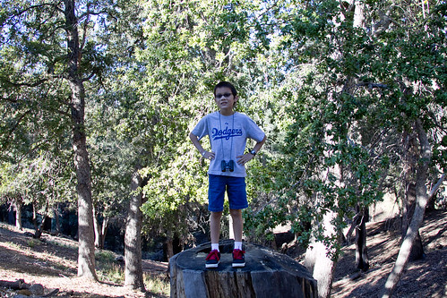 Josh on a stump