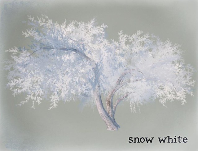 GardenTree05 - snow white
