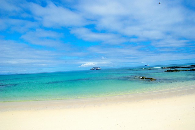 beach on galapagos islands