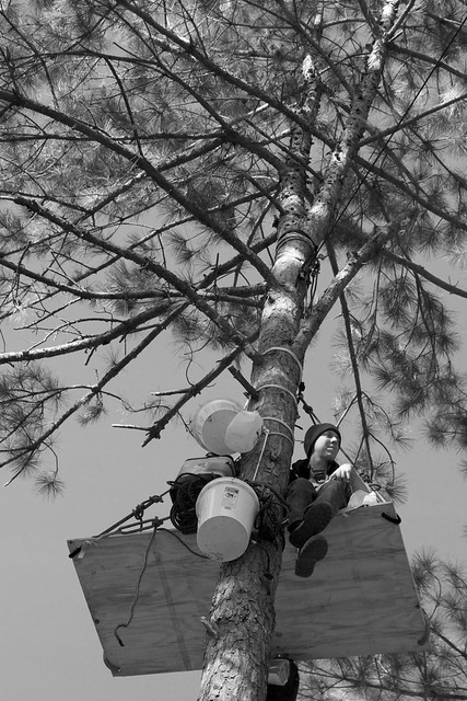 protestor on tree