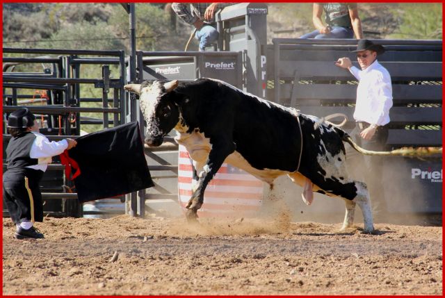 bullfight 1