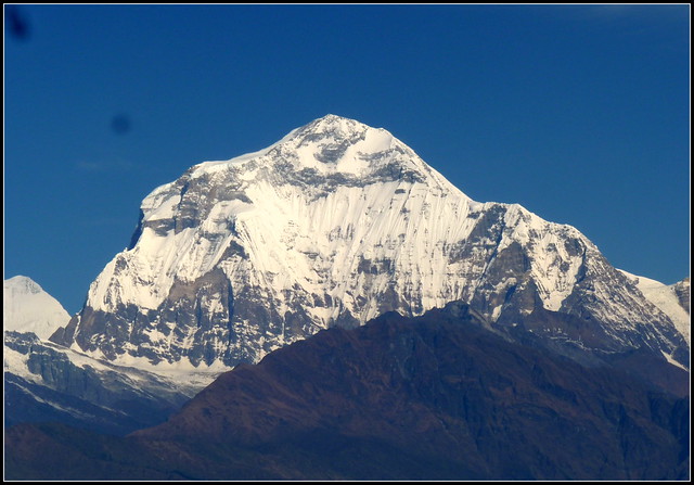 Dhaulagiri, the great white massif